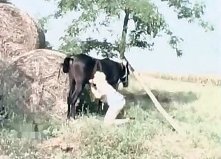 Aroused blonde demonstrates oral skills while sucking horse's schlong
