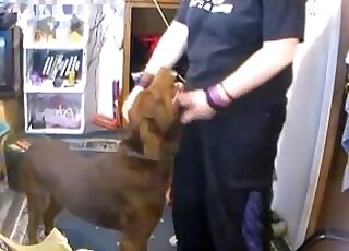 Slightly hairy babe with a large gut lets this dog eat her out