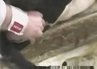 Hot handjobs and closeup action featured in bestiality porn vid