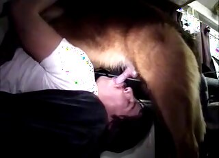Guy in a white t-shirt deepthroating that animal cock upside down