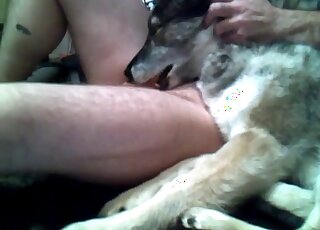 Dude basically forcing his own dog to suck his dong for the camera