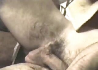 Guy uses his penis to terrorize a gay dog's tight asshole sideways