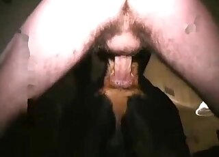 Guy's hairy cock is dominating this black dog's tight vagina here