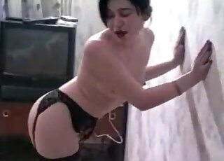 Hardcore pussy-hammering by a white dog that makes bitch moan