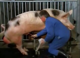 Dude using his handjob skills to keep this pig fully satisfied too