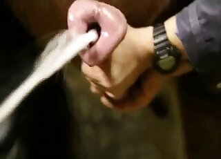 Seasoned zoophile dude jerking a beast's dick to the fucking limit