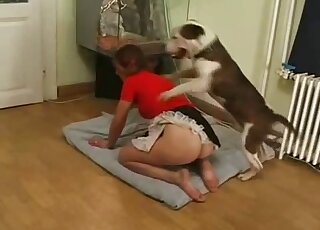 Kneeling girl awaits doggy-style pounding from Pit Bull in heat