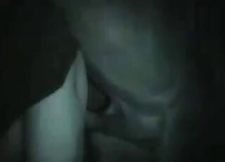 Zoophiliac adores getting his ass dominated by big horse dick