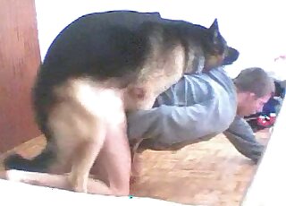Amateur twink loves getting topped by German Shepherd when jerking off