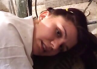 Horny brunette teen uses erect dog pecker for pussy banging