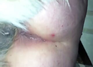 Close-up on lady's privates while she's vigorously banged by canine