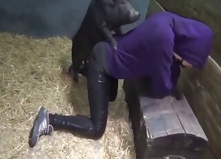 Amateur lady in crotchless panties gets fucked by chubby pig
