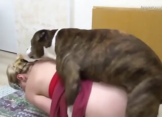 Impatient Pit Bull can't wait to pound big ass mature blonde
