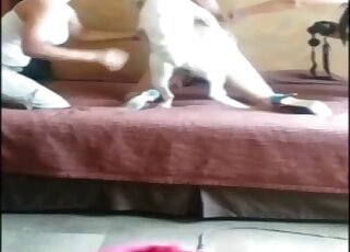 Amateur women share cam perversions jerking off the dog's dick and trying sex