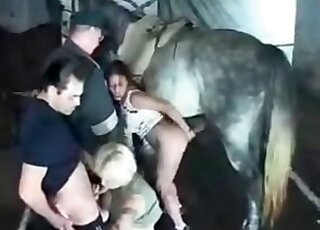 Horny slut enjoys feeling massive dick of a horse inside her ass