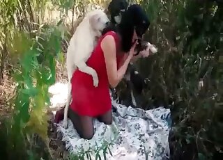 Dog penetrates brunette woman's ass and fucks her in crazy scenes