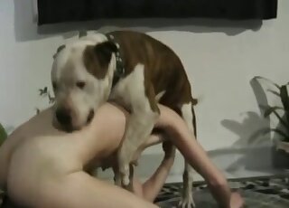 Zoo porn at home with her horny bulldog makes amateur wife lose control