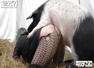 Pig fucks tight blonde whore in sexy fishnets and comes in her ass
