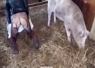 Pantyhose-wearing chick is ready to let pig fuck her from behind