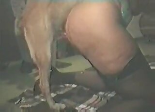 Zoophile couple gets involved in hot fucking wih a dog during zoo porn