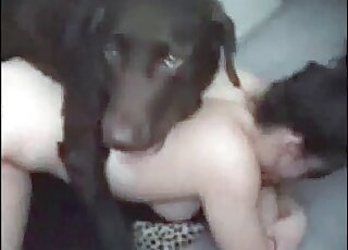 Excited black dog loves banging tight holes of a horny zoophile chick