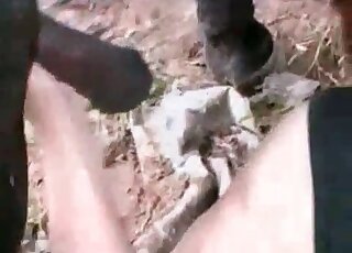Redhead slut passionately sucks thick shaft of a horse outdoors