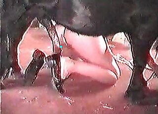 Good-looking black pony is here to fuck a lady's super-tight hole