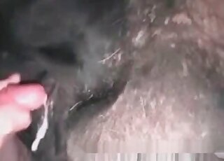 Perverted dude gives fisting and licking in beastiality zoo action