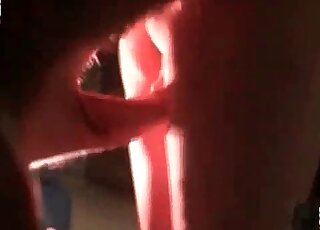 Whore gets amazing experience of getting banged by stallions