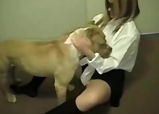 Hot chick gives her dog smell at her snatch and lick it insanely