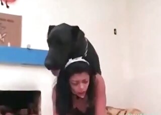 Massive dog fucks a pretty brunette bimbo without any limits