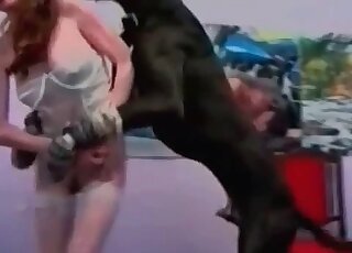 Filthy MILF gets screwed severely by a huge dog in a doggystyle