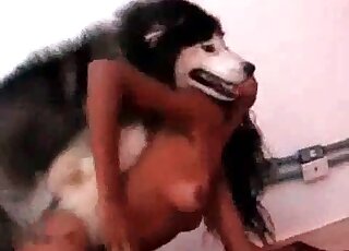 Husky gladly nails wet cunt of a horny ebony that stands on all fours