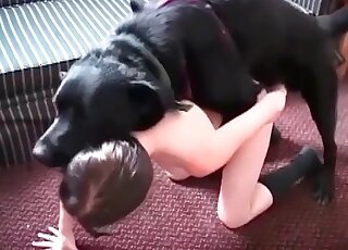 Insatiable bitch fucks like a whore with her dog and sucks its dick