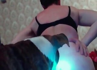 Trained canine drills holes of mature bitch in a zoo porn action