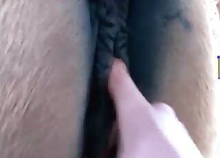 Dude gives a horse amazing fisting in a hot zoophilia porno action