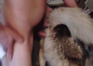 Zoo sex addicted fellow gives his dog a really severe pounding