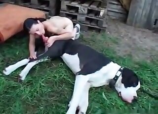 Naked wife looks so excited to get licked and pounded by a dog