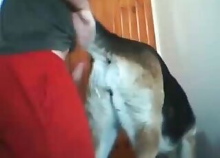 Zoo sex addict gets tons of pleasure when he fucks his horny dog