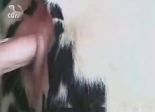 Dude inserting that penis in an animal's hole from behind in HQ