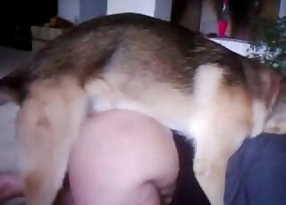 BBW zoophile with a huge ass is getting fucked on all fours by a dog