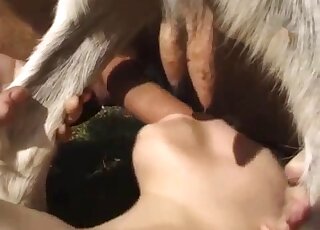 Outdoor threesome zoophilia scene with a dog that fucks brutally